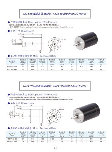 DYD MOTOR_Brushed DC Motor_45ZY68