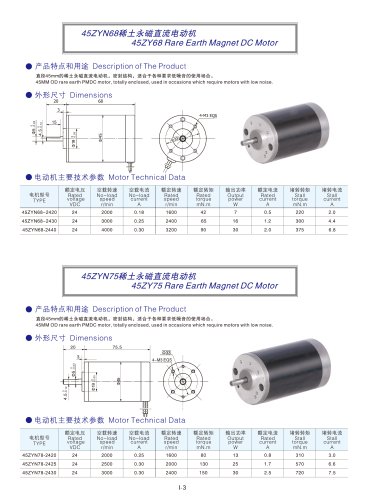 DYD MOTOR_Brushed DC Motor_45ZYN68