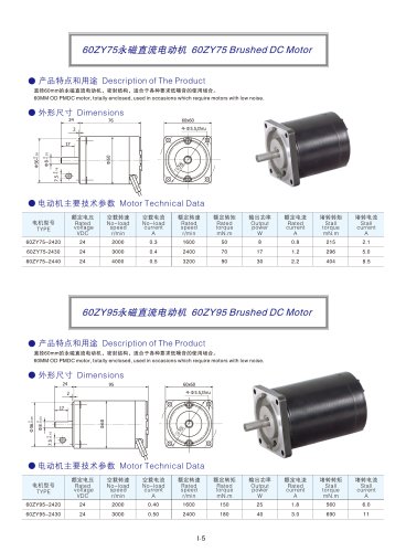 DYD MOTOR_Brushed DC Motor_60ZY75