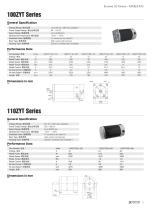 DC MOTOR/BRUSHED/100ZYT Series