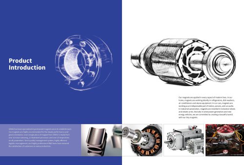 UMAG Permanent Magnet motor NdFeB