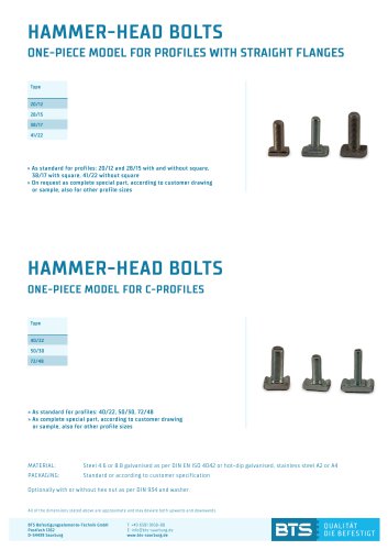 HAMMER-HEAD BOLTS