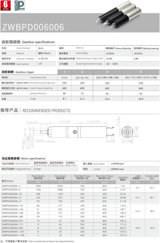 ZWBPD006006 DC Motor Series