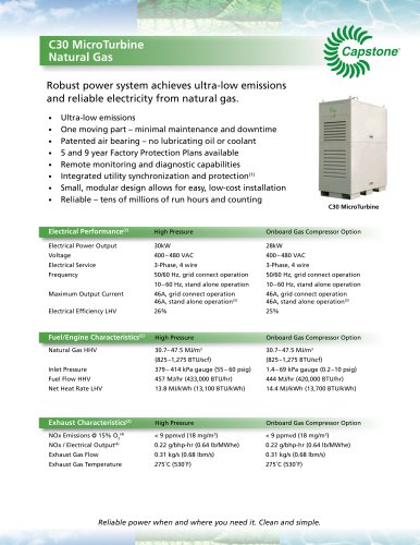 C30 MicroTurbine Natural Gas