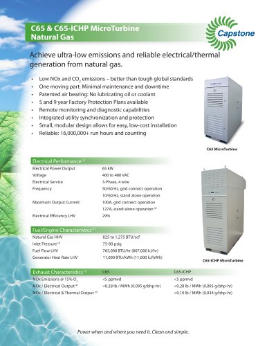 C65 ICHP NATGAS Product Literature