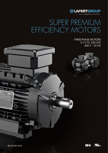 Brochure IE4 Motors