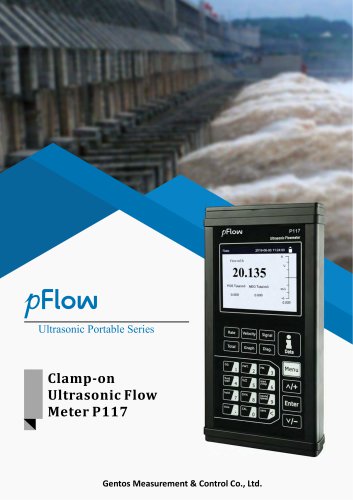 Clamp-on Ultrasonic Flow Meter	P117