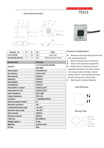 TS313