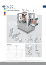 W30 intermittent motion wrap-around case packer