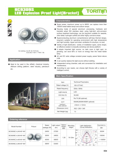 BC9309S explosion proof fixed light