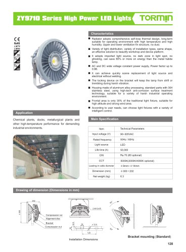 ZY9710 non ex fixed professional light