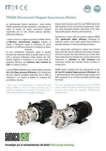 PMSM_P522 PMSM Motor on regenerative turbine pumps