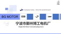 The Cloth Cutting Machine Motor ( Rotor and Stor ) Catalogue from BG Motor