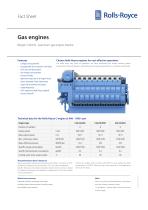 Bergen C26:33 gas engine