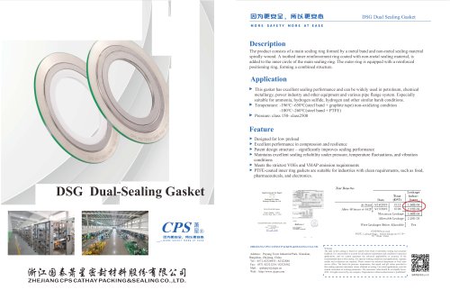 CPS DSG Gasket