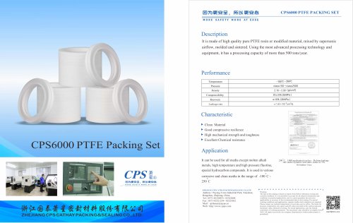 CPS6000 PTFE Packing Set