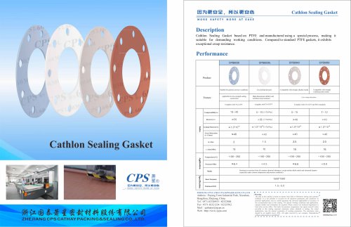 CPS6030/6040/6050 Modified PTFE Gasket