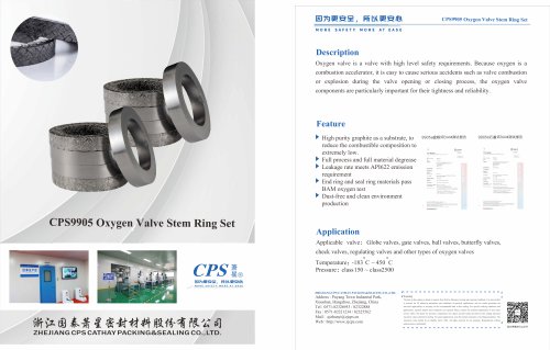 CPS9905 Oxygen Valve Stem Packing Set