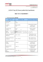 LONGi P-Type M2 Monocrystalline Brick Specification