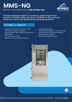 Mercury monitoring system for natural gas MMS-NG