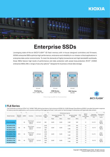 Enterprise SSDs