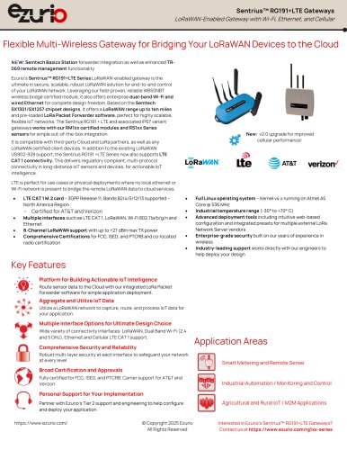 Flexible Multi-Wireless Gateway for Bridging Your LoRaWAN Devices to the Cloud