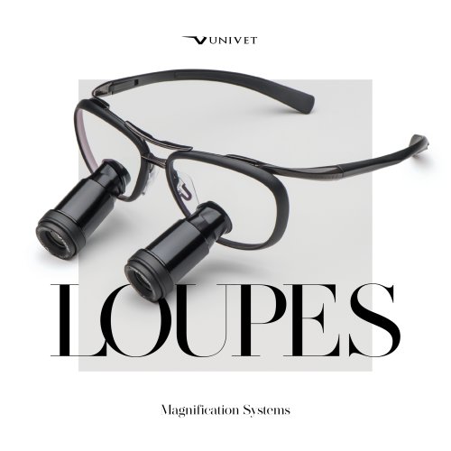 Univet Loupes Catelogue