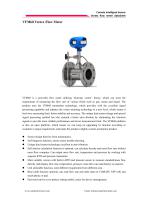 VFM60 Vortex Flow Meter