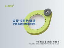 Spur Gear Slewing Drive Catalog