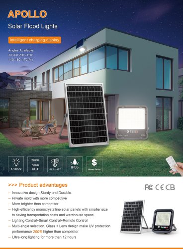 APOLLO Solar Flood Lights