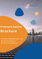 Chengdi  Digital Pressure Switch Product Introduction