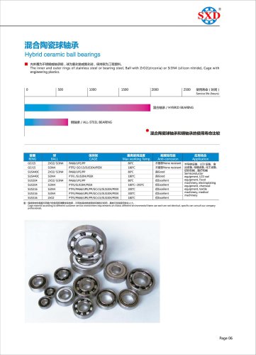 Hybrid Ceramic Ball Bearing