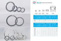 Sealed Type Inch Series Angular Contact Bearing