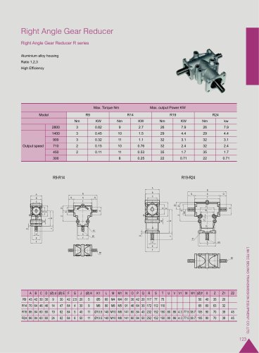 Bevel gear reducer