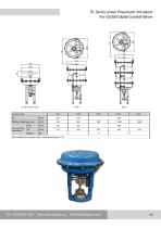 PL Series Linear Pneumatic Actuators