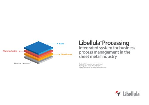 Libellula Processing