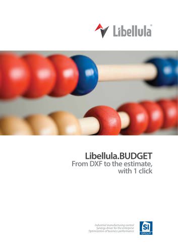 Libellula.BUDGET EN - From DXF to the estimate, with 1 click.