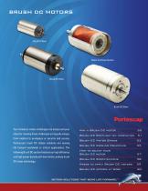 BRUSH DC motor