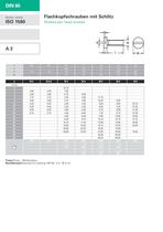 Slotted pan head screws