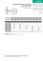 Slotted pan head screws with large head