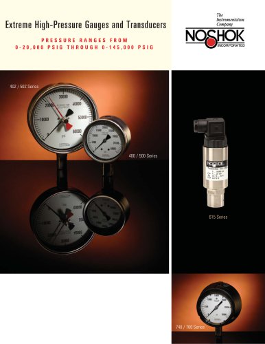 Extreme High Pressure Gauges & Transducers NK06EHP