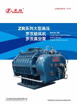 High Pressure Big Size Roots Blower ZR Series