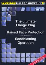 SES3000 - The ultimate Flange Plug