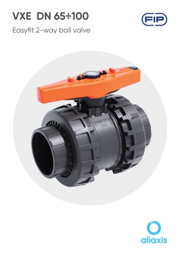 VXE  DN 65&divide;100