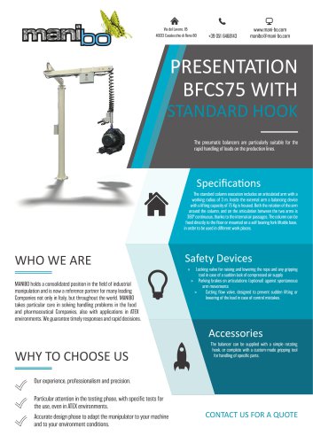 BALANCER BFCS75 - STANDARD HOOK