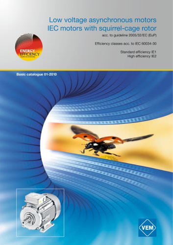 Low voltage asynchronous motors IEC motors with squirrel-cage rotor