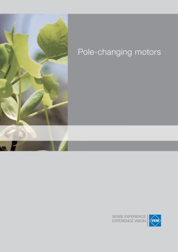 Pole-changing motors