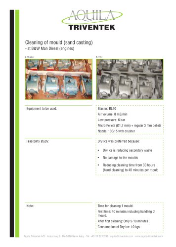 Cleaning of mould B&W - Case study