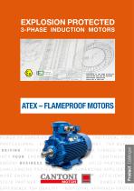 EXPLOSION PROTECTED 3-PHASE INDUCTION MOTORS