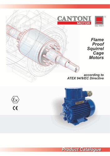 Flame-Proof Squirrel Cage Motors For Chemical Industry